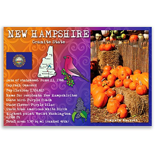 NEW HAMPSHIRE STATE FACTS postcard set of 20 identical postcards. Post cards with NH facts and state symbols. Made in USA.