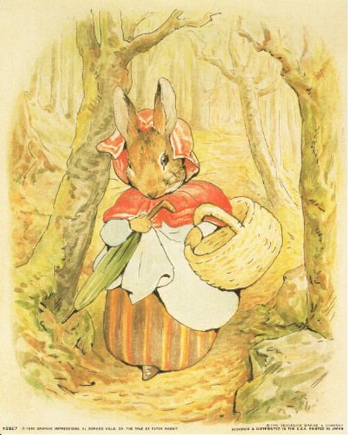 Beatrix Potter - The Tale of Peter Rabbit Kids Room Wall Decor Art Print Poster (16x20) Beatrix Potter - The Tale of Peter Rabbit Kids Room Wall Decor Art Print Poster (16x20)