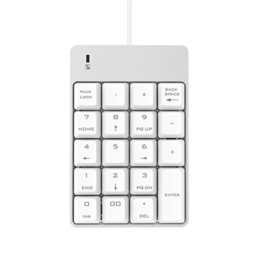 USB Numeric Keypad, Jelly Comb Portable Slim Mini Number Pad for Laptop Desktop Computer PC, Full Size 19 Key, Big Print Letters (Silver and White)