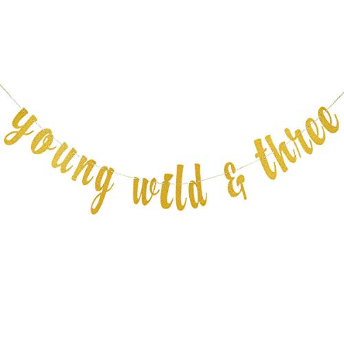 Gold Glittery Young Wild & Three Banner for 3rd Birthday Decor,3rd Birthday Banners,3rd Birthday Gold Glittery Young Wild & Three Banner for 3rd Birthday Decor,3rd Birthday Banners,3rd Birthday