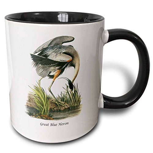 3dRose 114106_4 Blue Heron by John James Audubon Two Tone Mug, 11 oz, Black/White