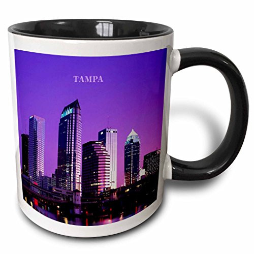 3dRose mug_61887_4"A Sunset In Tampa Florida" Two Tone Black Mug, 11 oz, Multicolor