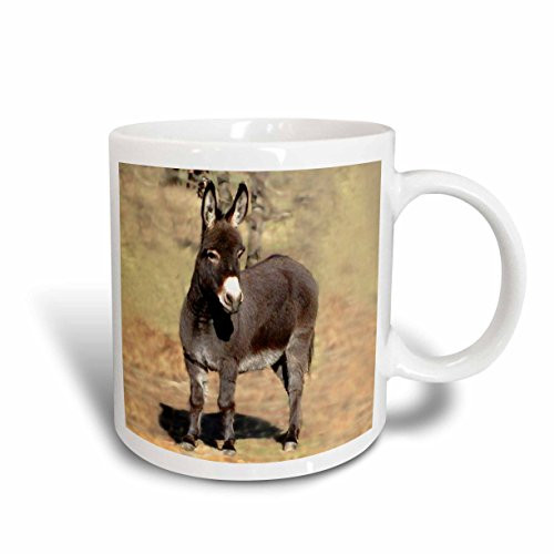 3dRose Miniature Donkey Mug, 15-Ounce