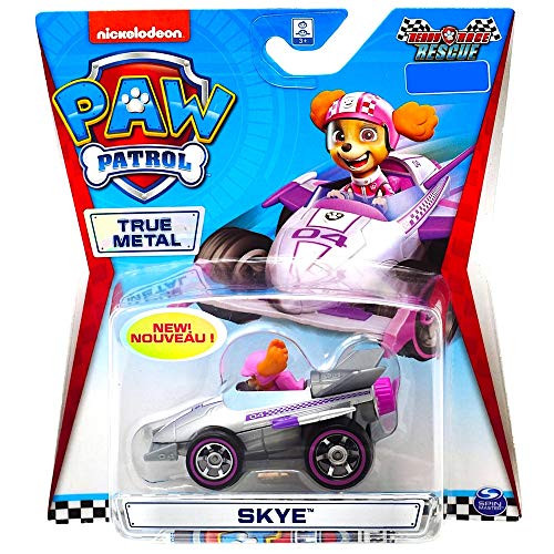 Paw Patrol Skye Ready Race Rescue Diecast Car 1:55 Scale