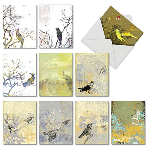 10 Note Cards with Envelopes - Assorted 'Bird Collages' Blank Greeting Cards - Unique All-Occasion Cards for Thank Yous, Retirements, Birthdays - Stationery Notecards 4 x 5.12 inch M2987OCB