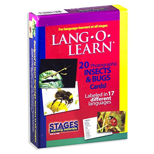 Stages Learning Lang-O-Learn ESL Insects & Bugs Vocabulary Photo Flash Cards