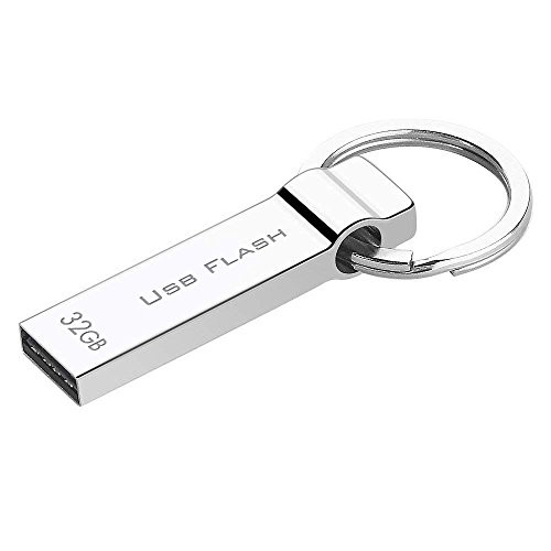Wealthy Keychain USB Flash Drive 32gb Waterproof Memory Stick Portable Thumb Drive (32gb)