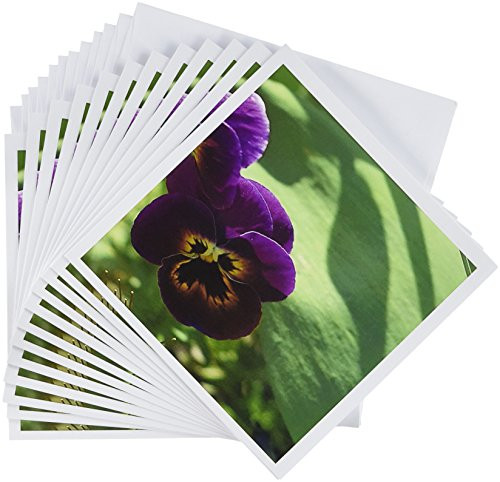 3dRose Purple Pansy - Greeting Cards, 6 x 6 inches, set of 12 (gc_29119_2)