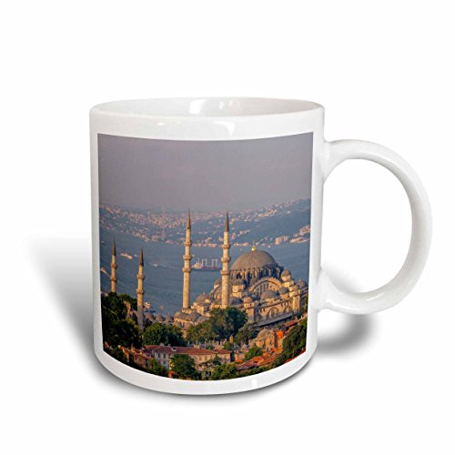 3dRose 187078_2 Ceramic Mug, 15 oz, White