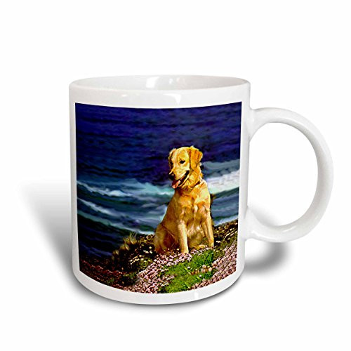 3dRose Golden Retriever Mug, 15-Ounce