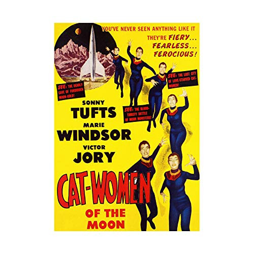 Wee Blue Coo The Art Stop Movie Film CAT Women Moon Crazy SCI FI Adventure Print F12X4113