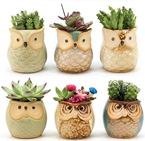 Weierken Mini 6PCS Owl Pot Ceramic Flowing Glaze Base Serial Set Succulent Plant Pot Cactus Plant Pot Flower Pot Container Planter Bonsai Pots with A Hole