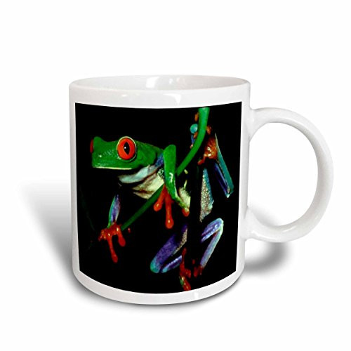 3dRose Frog Ceramic Mug, 15-Ounce 3dRose Frog Ceramic Mug, 15-Ounce