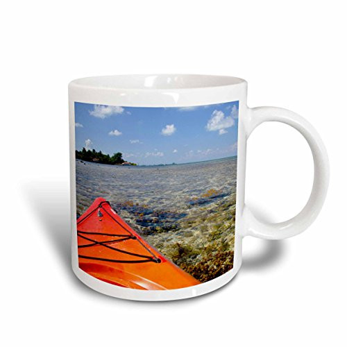 3dRose 187669_2 Ceramic Mug 15 oz White