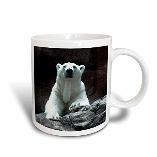 3dRose Polar Bear Resting Ceramic Mug, 15-Ounce