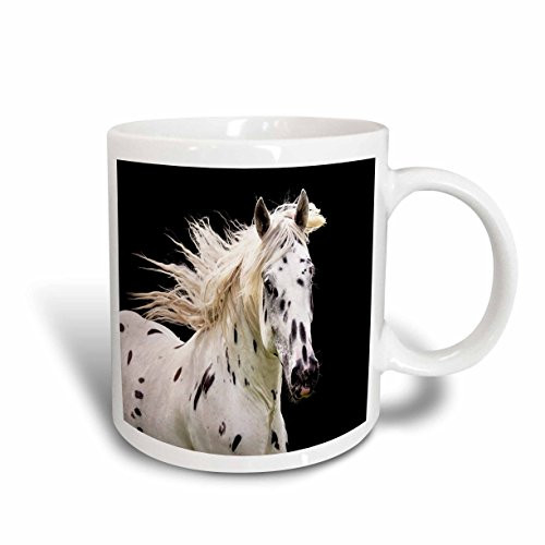 3dRose mug_80678_2"Beautiful Appaloosa Horse" Ceramic Mug, 15 oz, Multicolor