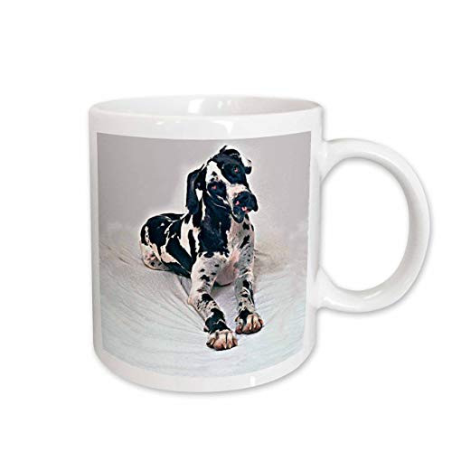 3dRose Great Dane Mug, 15-Ounce