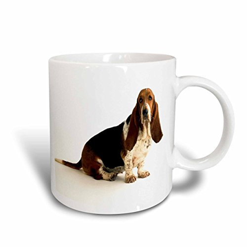 3dRose mug_80272_2 Handsome Basset Hound Ceramic Mug, 15-Ounce