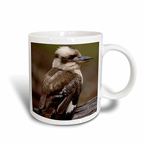 3dRose Laughing Kookaburra Bird Stradbroke Island Australia, Ceramic Mug, 15-Oz