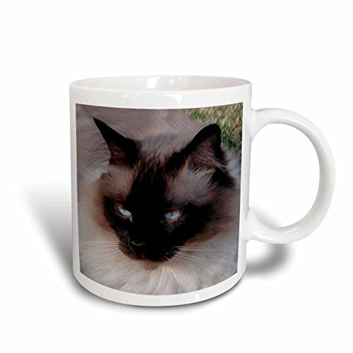 3dRose Siamese Cat Ceramic Mug, 15-Ounce 3dRose Siamese Cat Ceramic Mug, 15-Ounce
