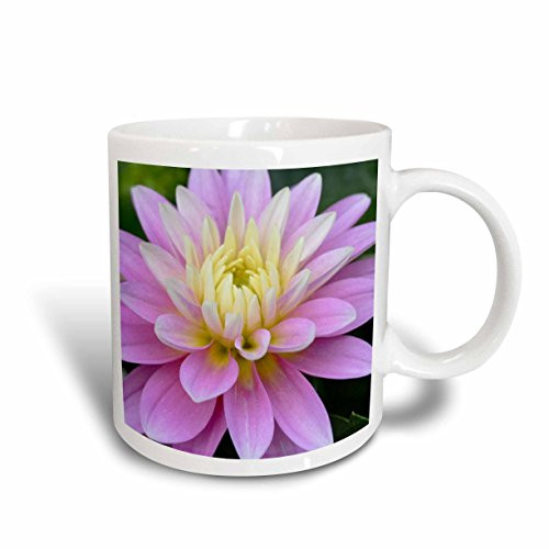 3dRose Beauty in Nature II Ceramic Mug, 15-Ounce