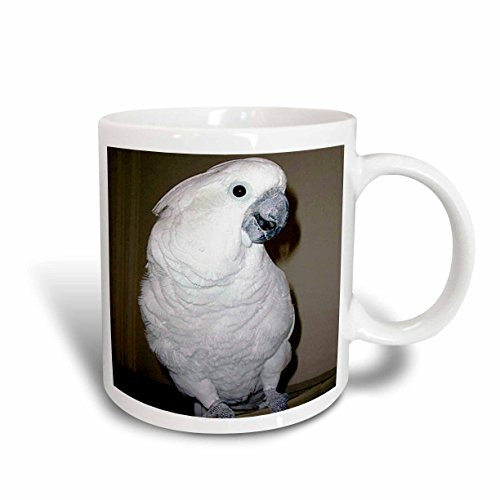 3dRose Umbrella Cockatoo Mug, 15-Ounce