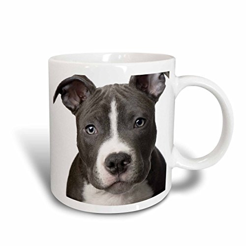 3dRose American Pit Bull Terrier Puppy Mug, 15-Ounce