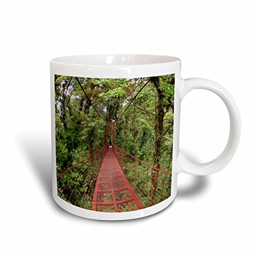 3dRose W Guidon Path, Monteverde Cloud Forest, Costa Rica, Maresa Pryor, Ceramic Mug, 15-Oz