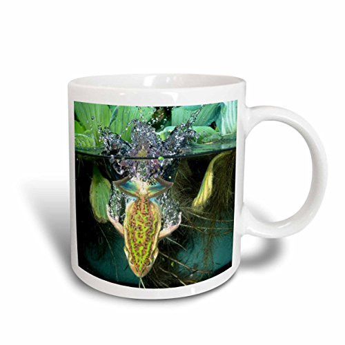 3dRose Golden Bell Frog Diving, Australia NA02 DNO0107 David Northcott Ceramic Mug, 15-Ounce 3dRose Golden Bell Frog Diving, Australia NA02 DNO0107 David Northcott Ceramic Mug, 15-Ounce