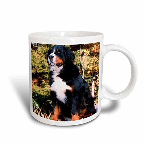 3dRose Bernese Mountain Dog Mug, 15-Ounce