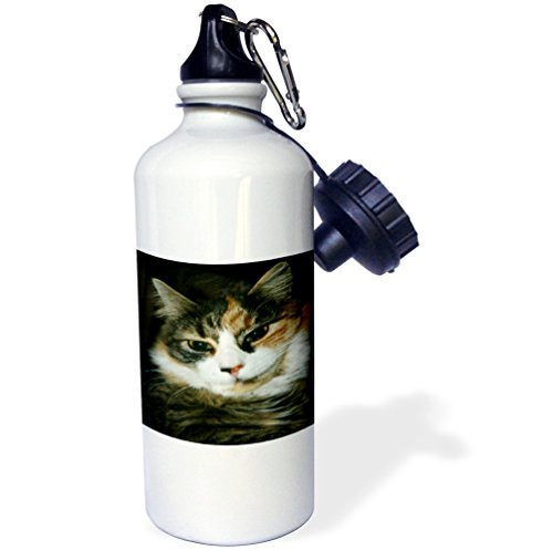 3dRose wb_49304_1"Calico Cat Closeup" Sports Water Bottle, 21 oz, White 3dRose wb_49304_1"Calico Cat Closeup" Sports Water Bottle, 21 oz, White