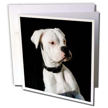 3dRose White Boxer Uncropped Ears - Greeting Cards, 6 x 6 inches, set of 6 (gc_1113_1)