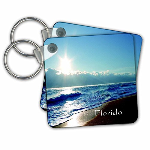 3dRose Image of Florida Palm Coast Beach - Key Chains, 2.25" x 2.25", Set of 2 (kc_255533_1)