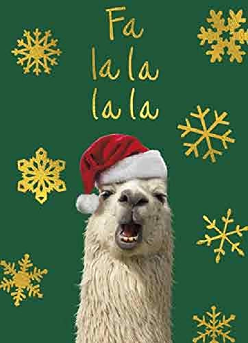 Avanti 10-Count Christmas Cards with Envelopes, Fa La La La Llama