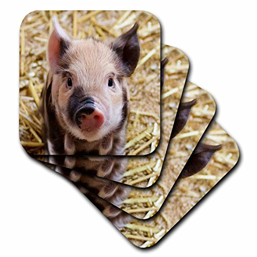 3D Rose Lovely Farm Baby Pig Soft Coasters, Multicolor