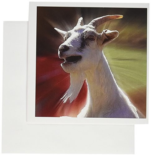 3dRose Funny Talking Goat Photography - Greeting Cards, 6 x 6", Set of 12 (gc_201772_2)