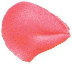 Wilton Bulk Buy Cake Decorating Tip #104 Petal W418PT-104 (6-Pack)
