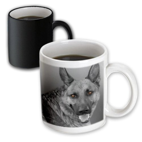 3dRose German Shepherd Dog Black and White Tinted Photograph Magic Transforming Mug, 11-Ounce