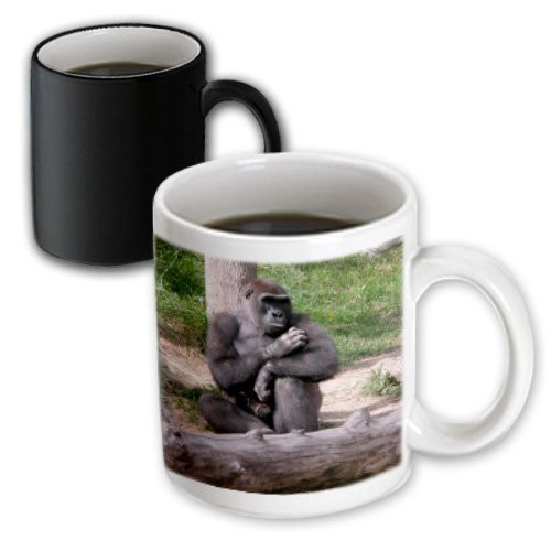 3dRose Gorilla Touching Fur Magic Transforming Mug, 11-Ounce