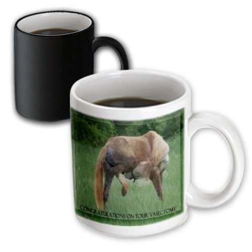3dRose Funny Horse Green Background Congratulations on Vasectomy Magic Transforming Mug, 11-Ounce