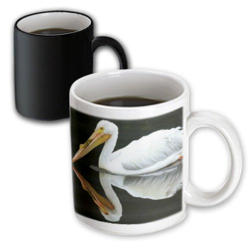3dRose White Pelican with Mirrored Reflection Magic Transforming Mug, 11-Ounce