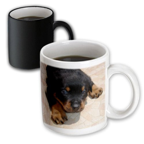 3dRose Dog Rottweiler Puppy Magic Transforming Mug, 11-Ounce