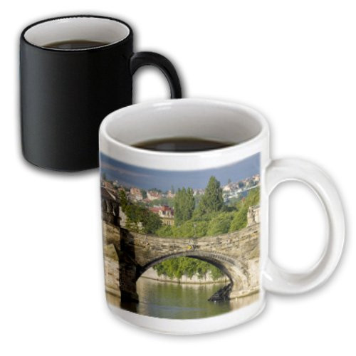 3dRose Charles Bridge Vltava River Prague Czech Republic, Magic Transforming Mug, 11-Oz