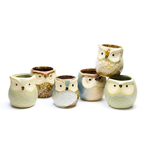 6 in Set 2.5 Inch Owl Pot Ceramic Flowing Glaze Base Serial Set Succulent Plant Pot Cactus Plant Pot Flower Pot Container Planter Bonsai Pots with A Hole