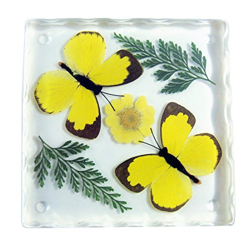 REALBUG Resin Coaster with Two Grass Yellow Butterflies