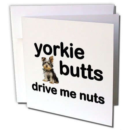 3dRose Yorkie Butts Drive Me Nuts - Greeting Cards, 6" x 6", Set of 6 (gc_254669_1)