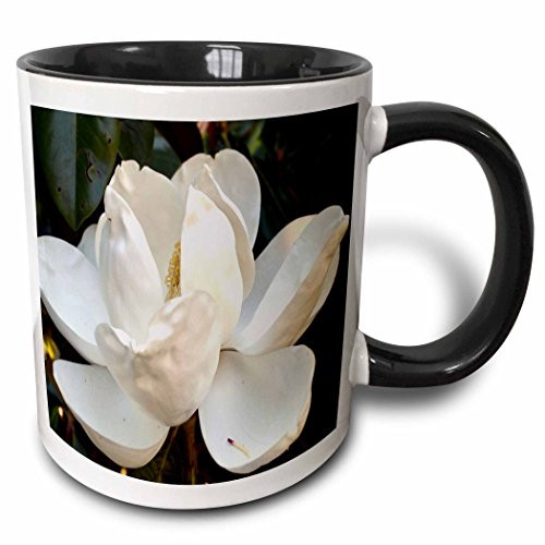 3dRose 22540_4 Georgia Magnolia White Flower-Two Tone Black Mug 11-Ounce Multicolored