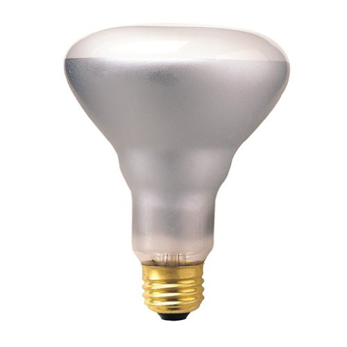 Bulbrite 65BR30SP3 65-Watt 130-Volt Incandescent BR30 Indoor Reflector, Spot