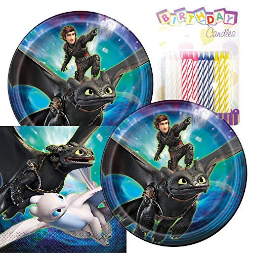 How to Train Your Dragon Themed Party Pack  Includes Paper Plates & Luncheon Napkins Plus 24 Birthday Candles  Serves 16