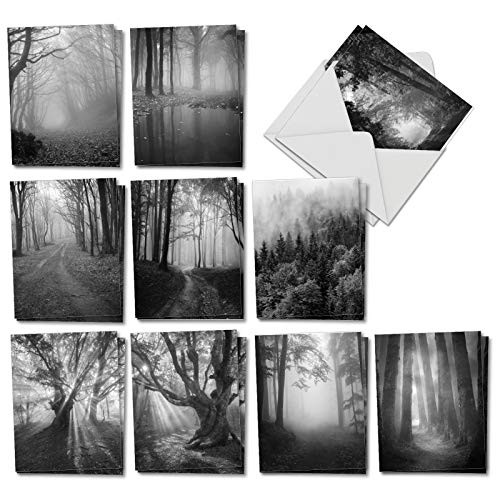 Misty Woods - 20 Blank Landscape Cards with Envelopes (4 x 5.12 Inch) - Black and White Photos of Nature, Wilderness, Trails - Assorted Notecards for All Occasions (10 Designs, 2 Each) AM7167OCB-B2x10